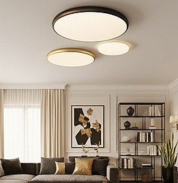 צמוד תקרה דק עם שלט צמוד תקרה דק עם שלט